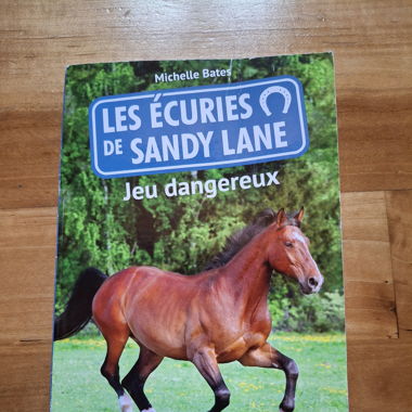 Les écuries de Sandy Lane - Michelle Bates