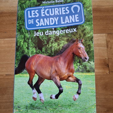 Le Scuderie di Sandy Lane - Michelle Bates