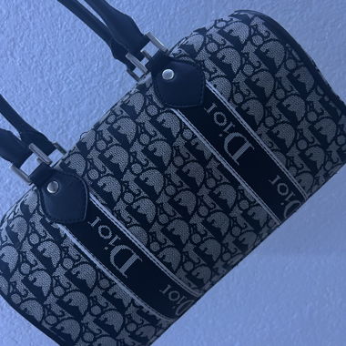Sac Dior