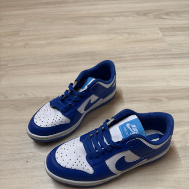 Nike Dunk Low SP 