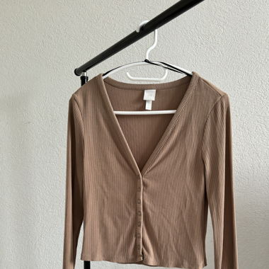 Brown Cardigan (sweater) 