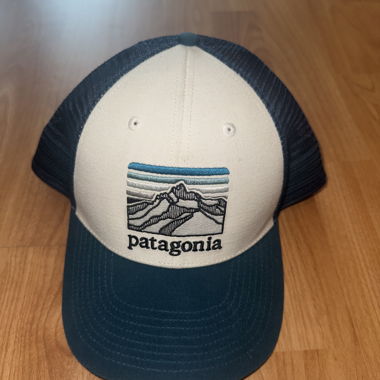 Patagonia Trucker Cap
