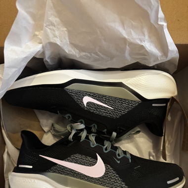 Running Schuhe Nike Zoom Pegasus