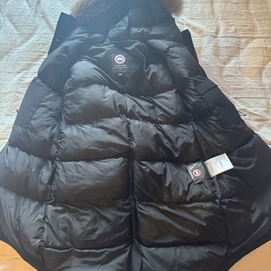 Canada goose 