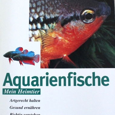 Poissons d'aquarium