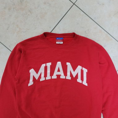Champion sweatshirt 