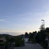 joline_11
