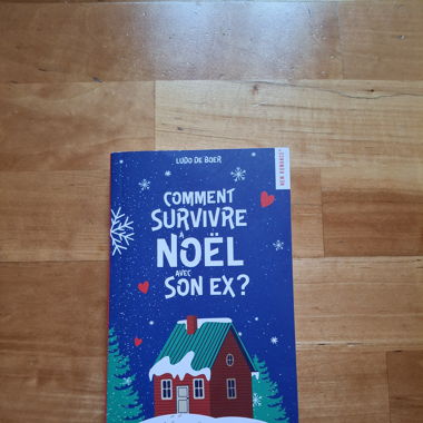 Comment survivre à Noël avec son ex - Ludo De Boer