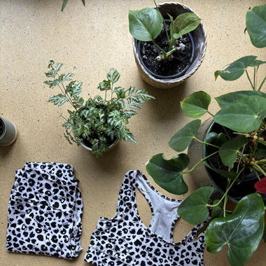 Cooles Leo Yoga Set von Hey Honey Yoga