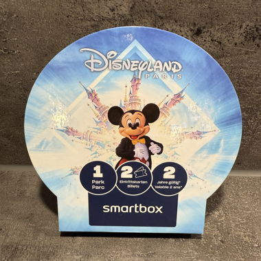 Coffret DISNEYLAND PARIS 
