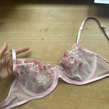 Transparent Lace Bra