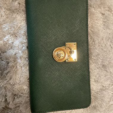 Portafoglio verde