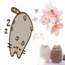 sp3nzrr