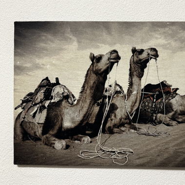 Tableau