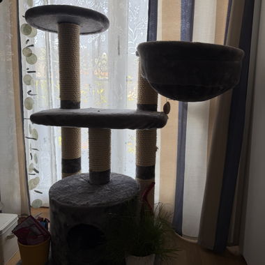 Arbre à chat gris