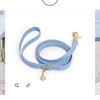 Laisse pour chien