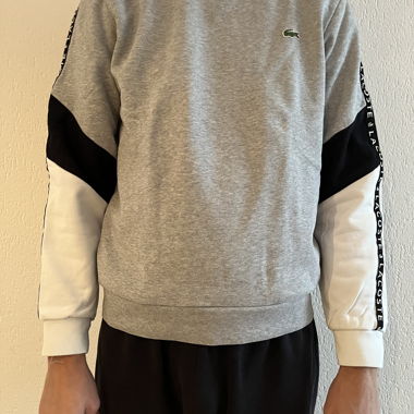Maglione Lacoste grigio