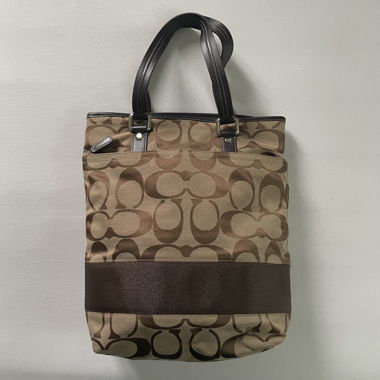 big Coach bag