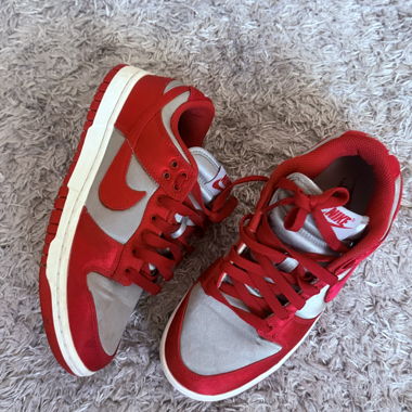 Nike Dunk SB Rot und Silber-Sneaker