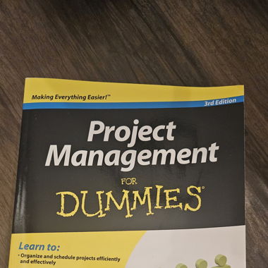 Project Management for Dummies - Book
