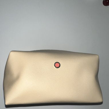 Bvlgari beauty bag
