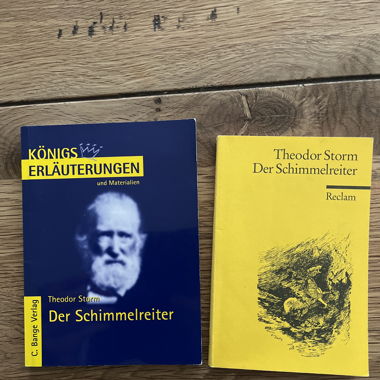 Der Schimmelreiter inkl. Erläuterung