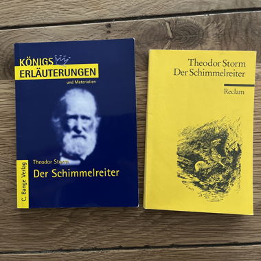 Der Schimmelreiter inkl. Erläuterung