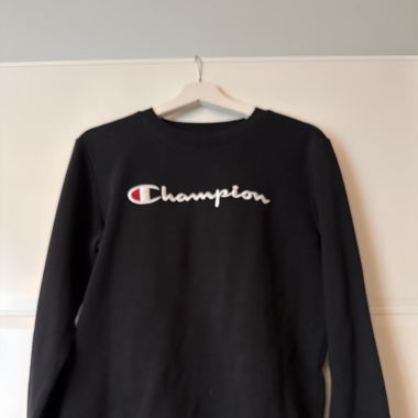 Champion Pullover