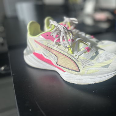 Basket Puma