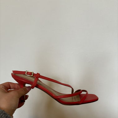 Talon corail