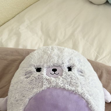 Peluche Squishmallow – foca carina