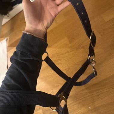 Horse halter