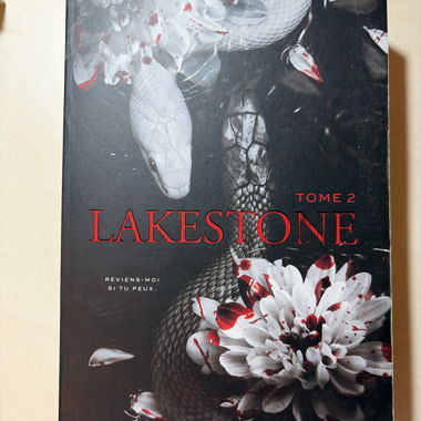 Lakestone Band 2