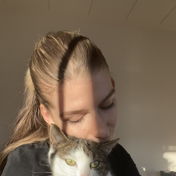 melisigg