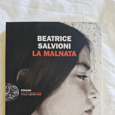 Beatrice Salvioni, La malnata (romanzo)