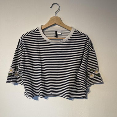 Striped Crop Top with Floral Embroidery