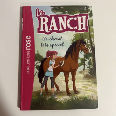 Libri: il Ranch e i pony magici