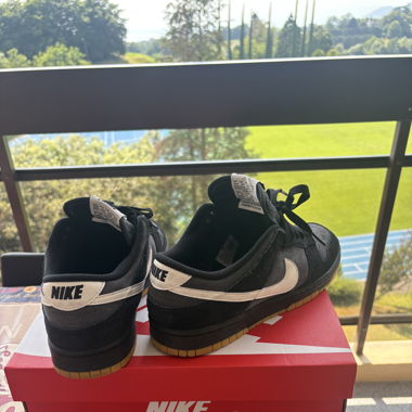 Nike Dunk Low