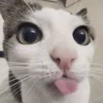 leni97