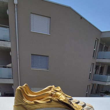 Adidas predator xtrx sg