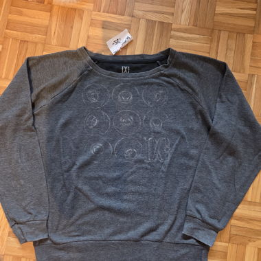 DC Shoes skateboarding sweatshirt