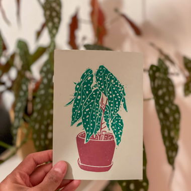 Lino print "Spots" - Begonia plant