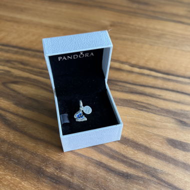 Pandora Charm