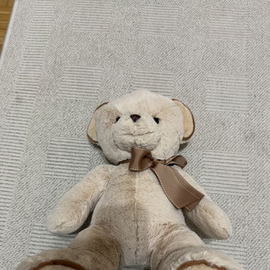 Teddy