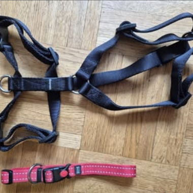 Set imbracatura e collare per cane