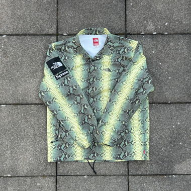 Snake Skin Jacket (North Face)