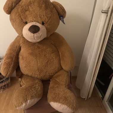 Teddy