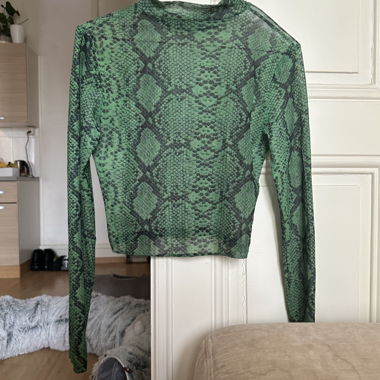 Transparent green top 