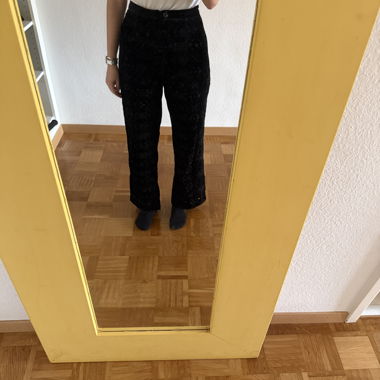 Zara velvet embroidered pants