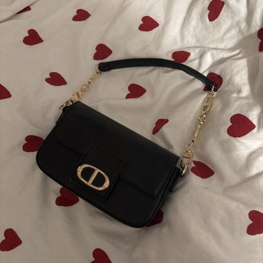 Aldo bag